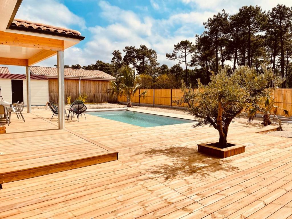 Villashomeclet - Villa Palm Beach Vensac Buitenkant foto